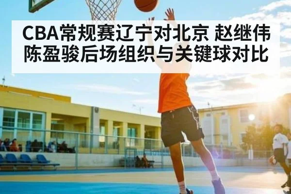 CBA常规赛辽宁对北京 赵继伟陈盈骏后场组织与关键球对比